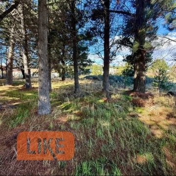 Terreno Venta en luis piedra buena 5000