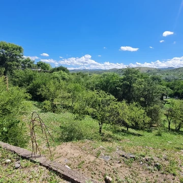 Terreno Venta en Eucaliptos 1000