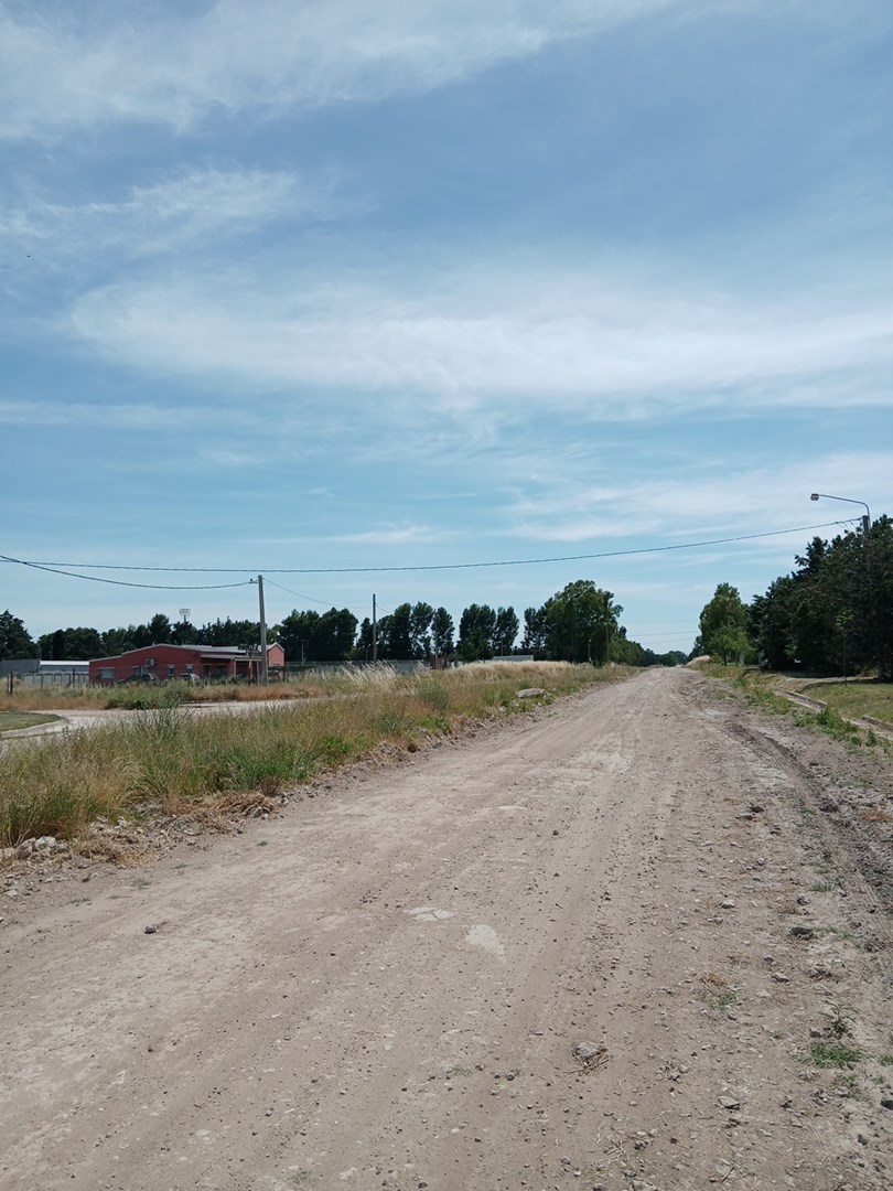 image 17