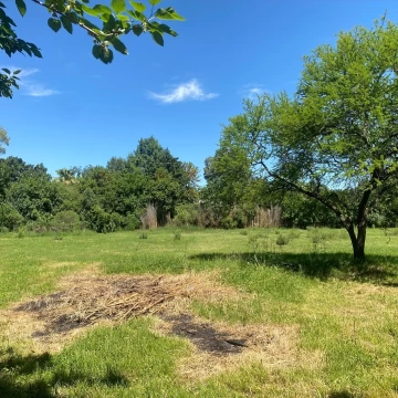 Terreno Venta en Venta Lote apto para desarrollo, en La lonja, pegado al Barrio  de La Peregrina, Pilar, Prov. de Bue 3300