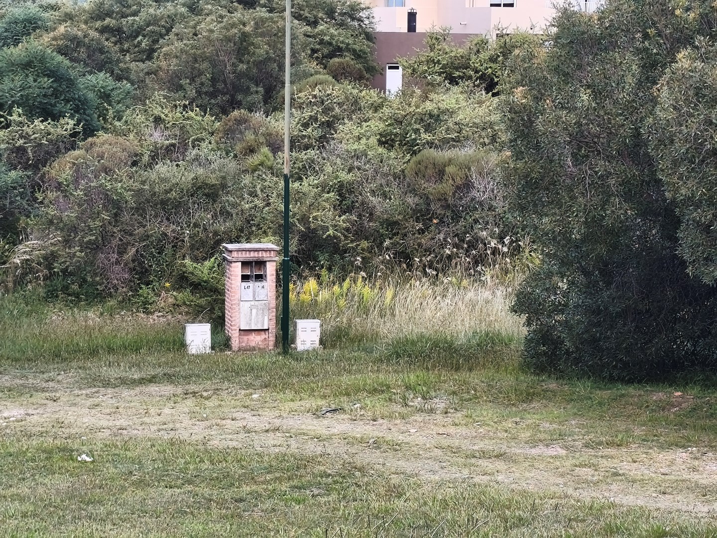 image 28