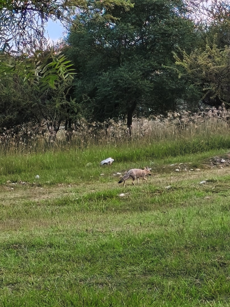image 34
