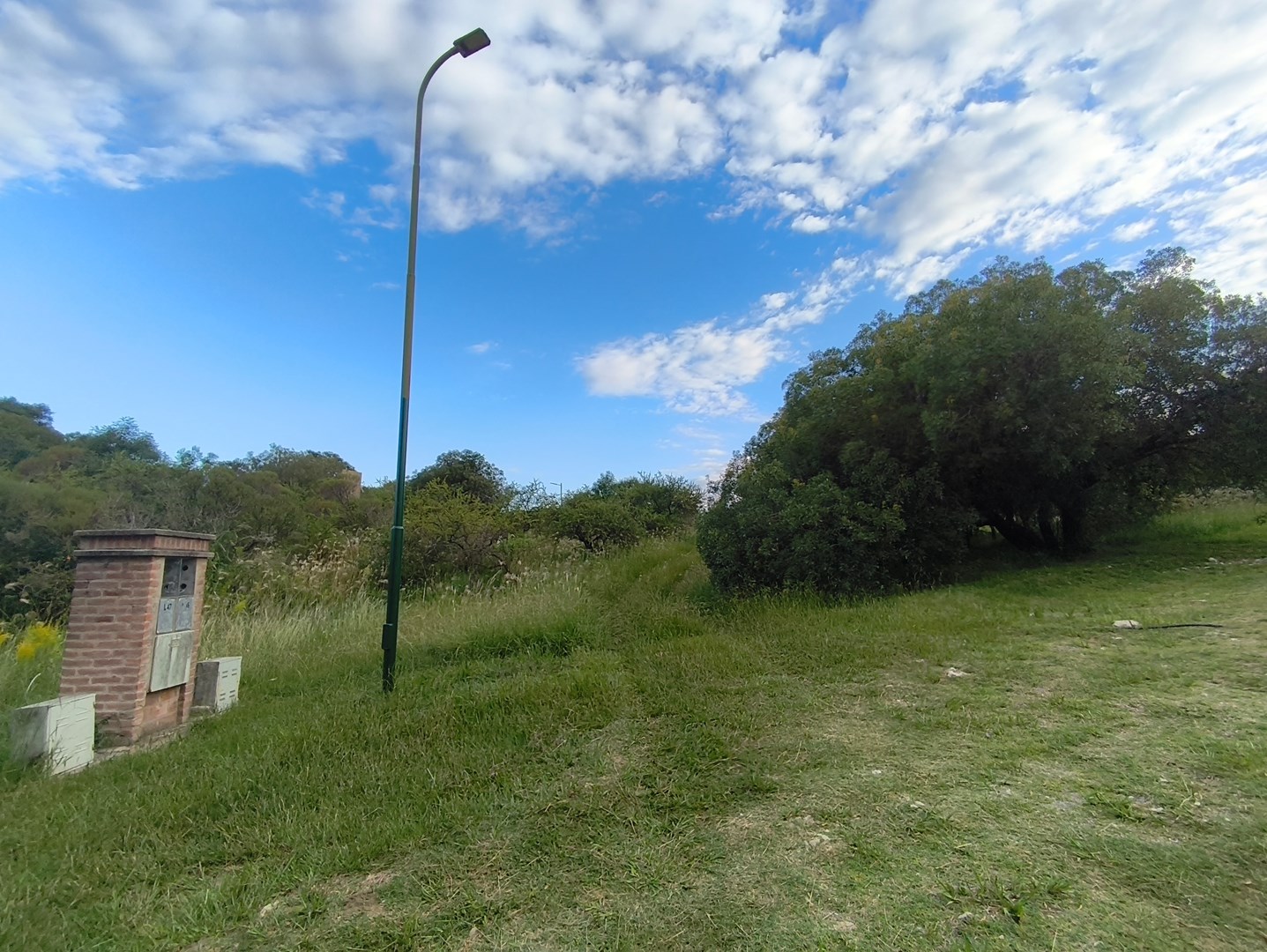 image 38