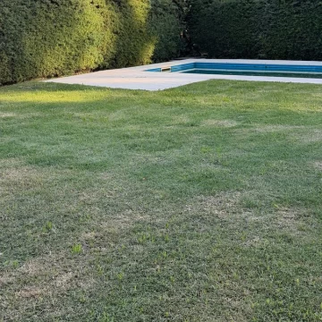 1778801056.jpg