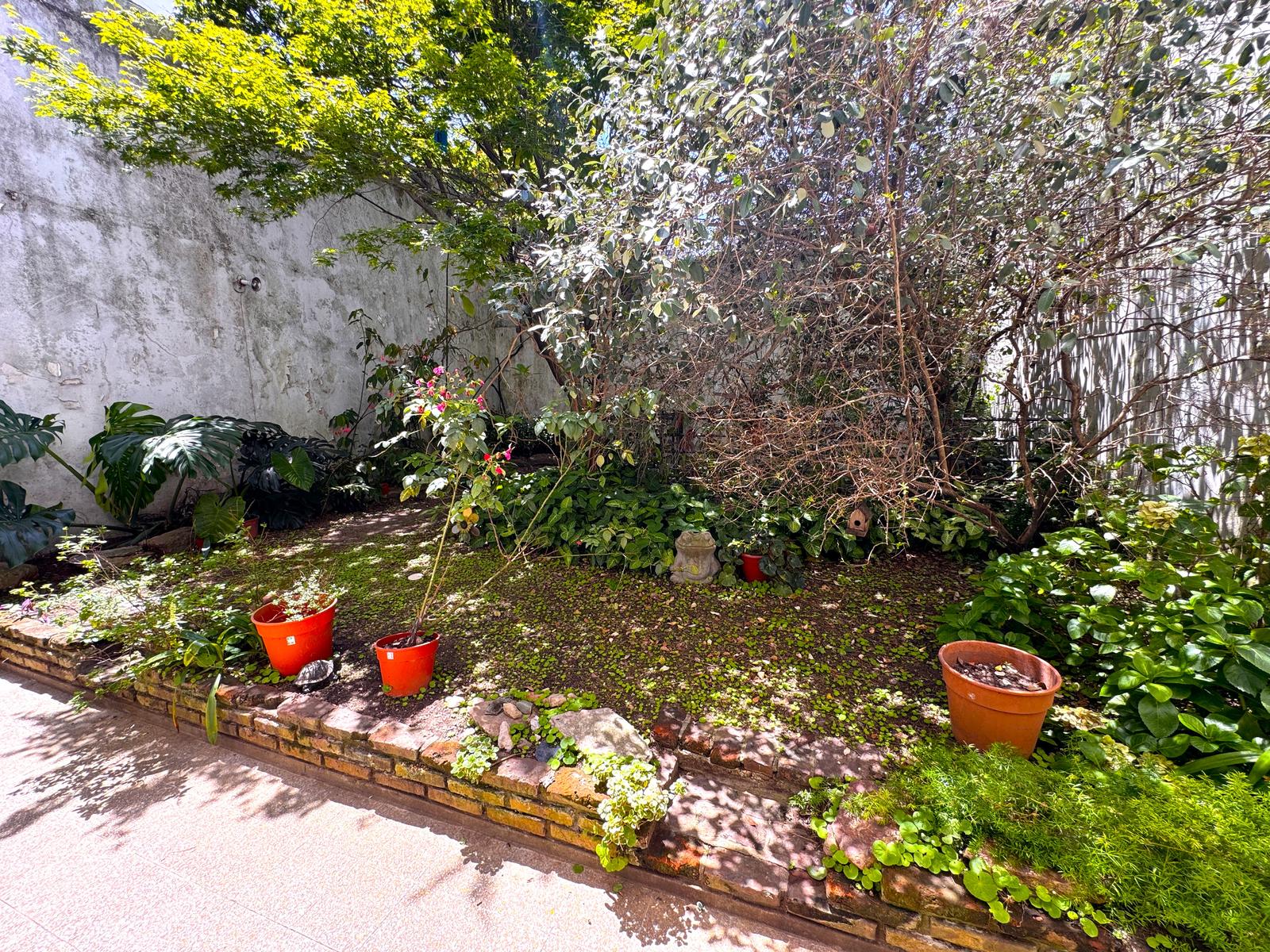 image 29
