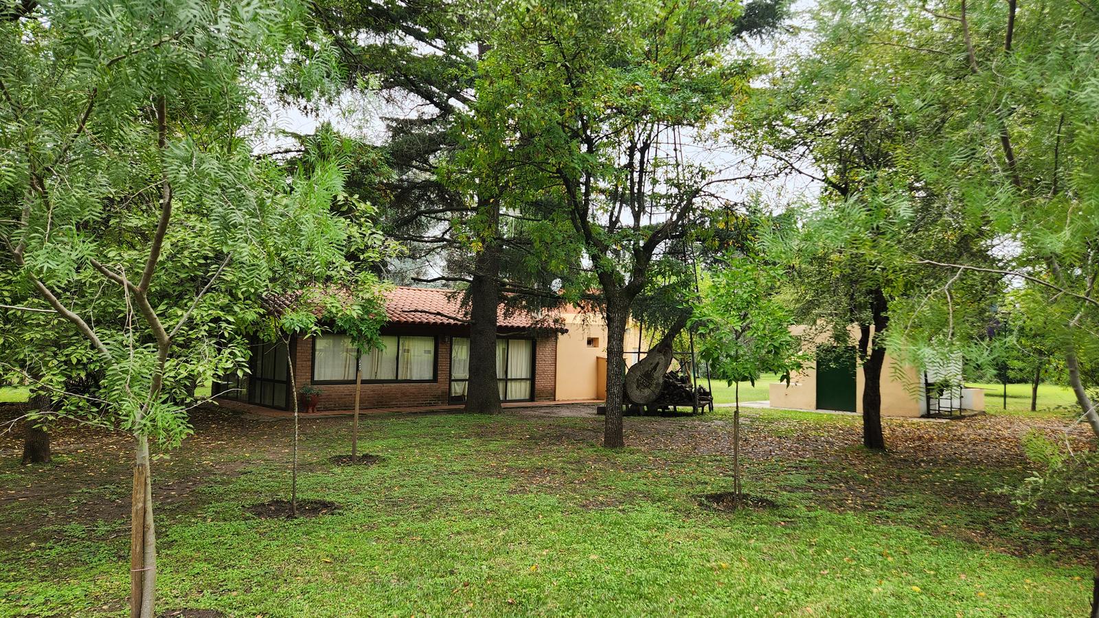 image 31