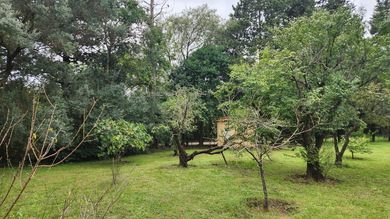 image 32