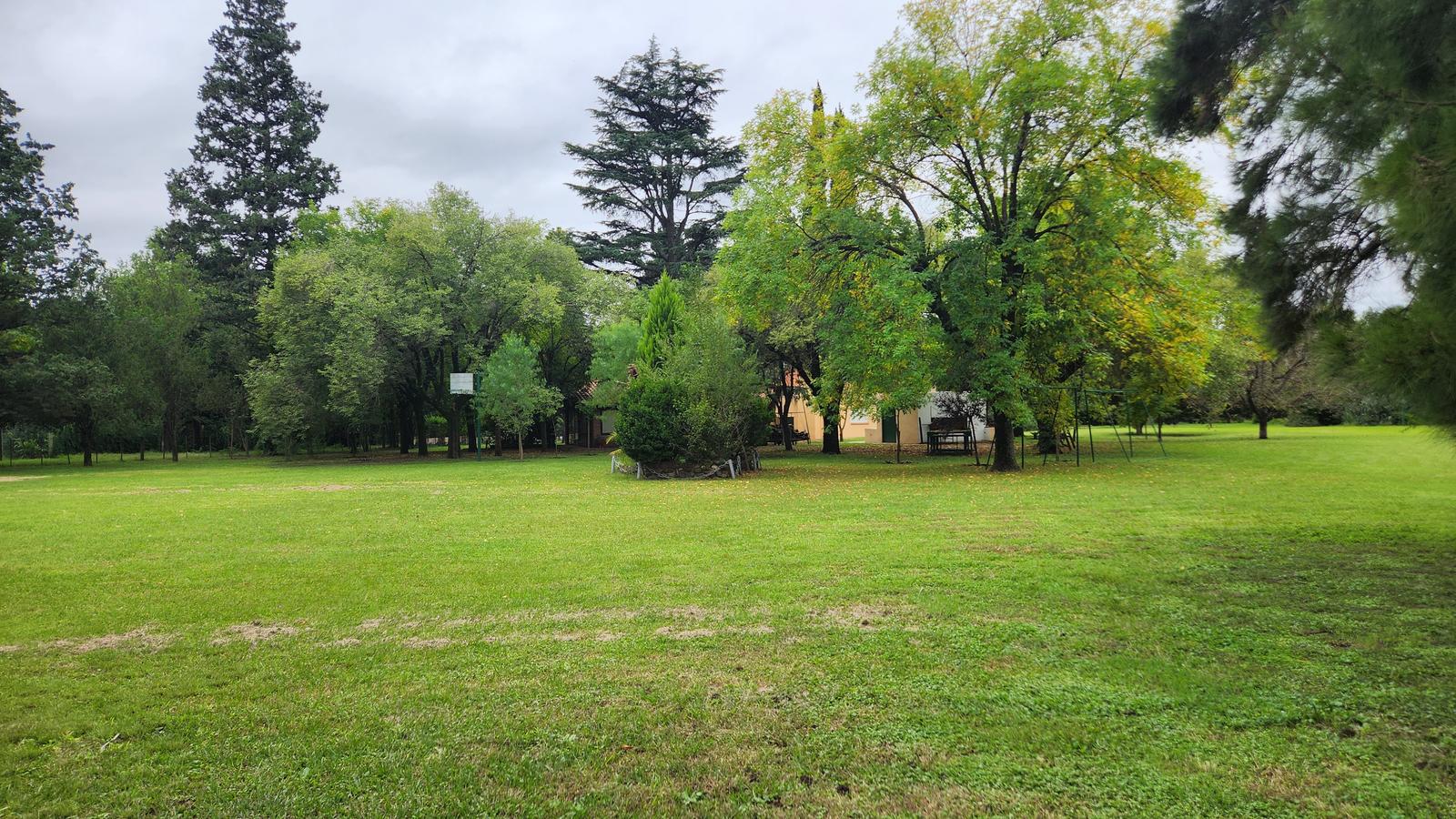 image 37