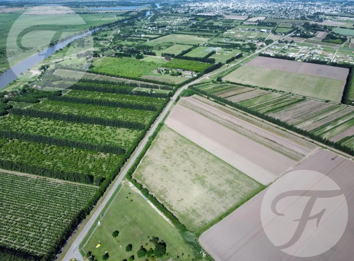 Alquiler de parcela comercial 4.5 ha sobre pavimento I 15 quintales por hectárea