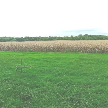 Campo en  Colonia Valdense