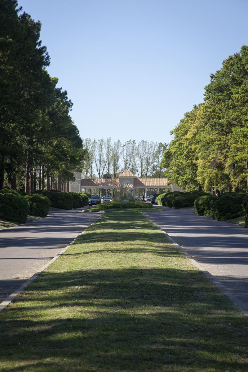 image 22