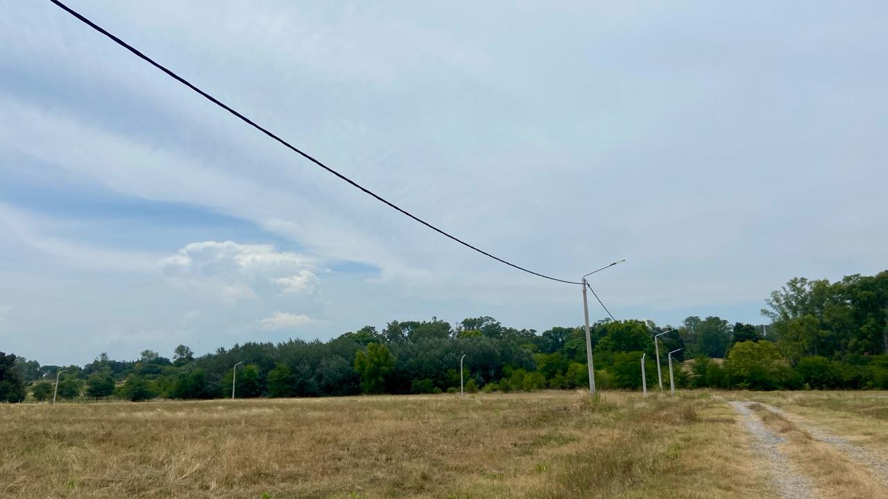 image 14
