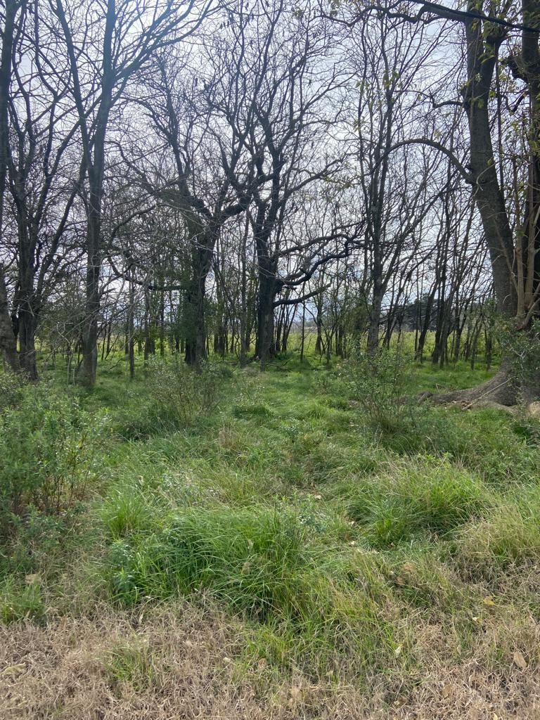image 18
