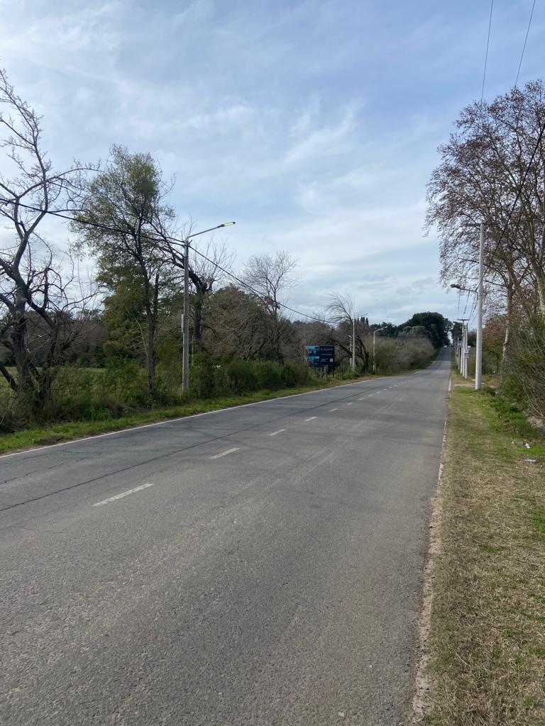 image 25
