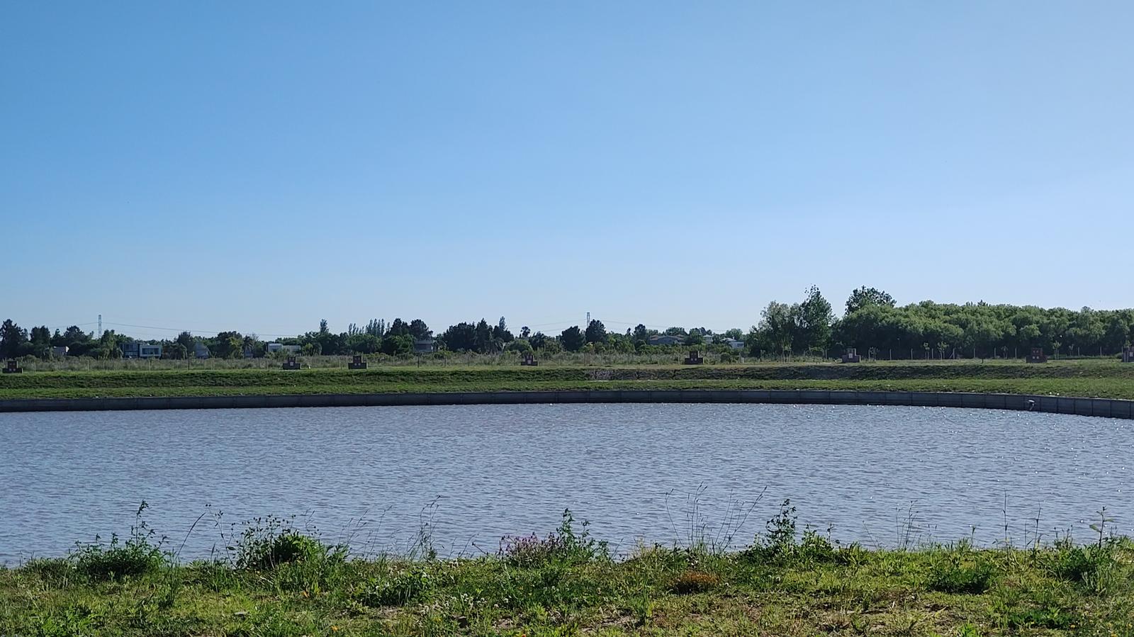 image 36