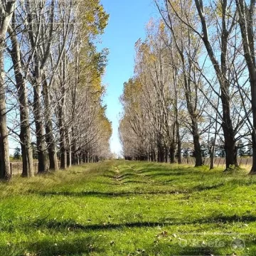 Campo en venta de 77 has en  Saladillo - Agricola ganadero