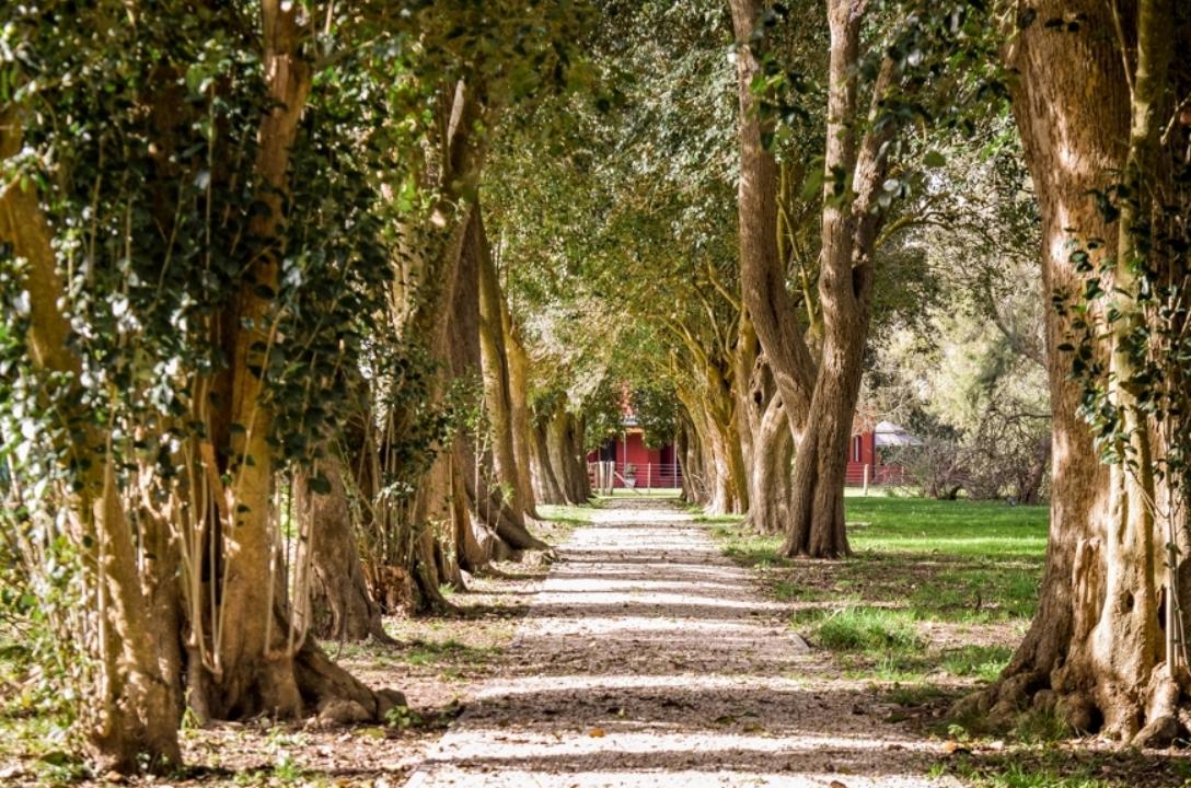 Venta Terreno en El Mirador Club de Campo en Brandsen - Principal
