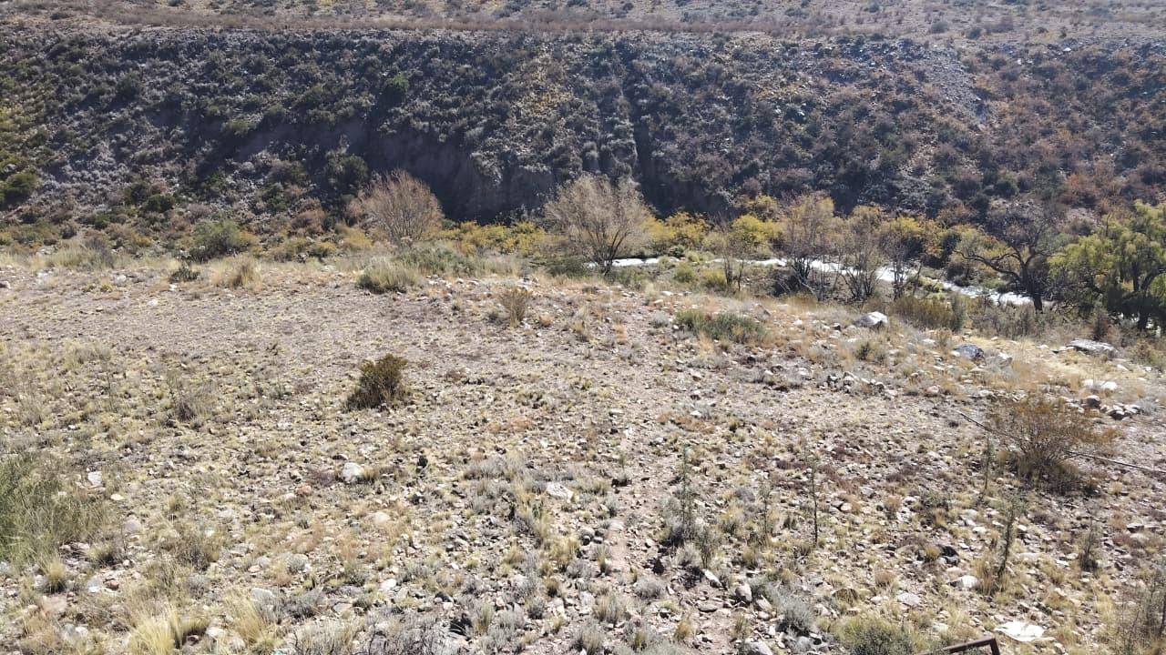 image 37