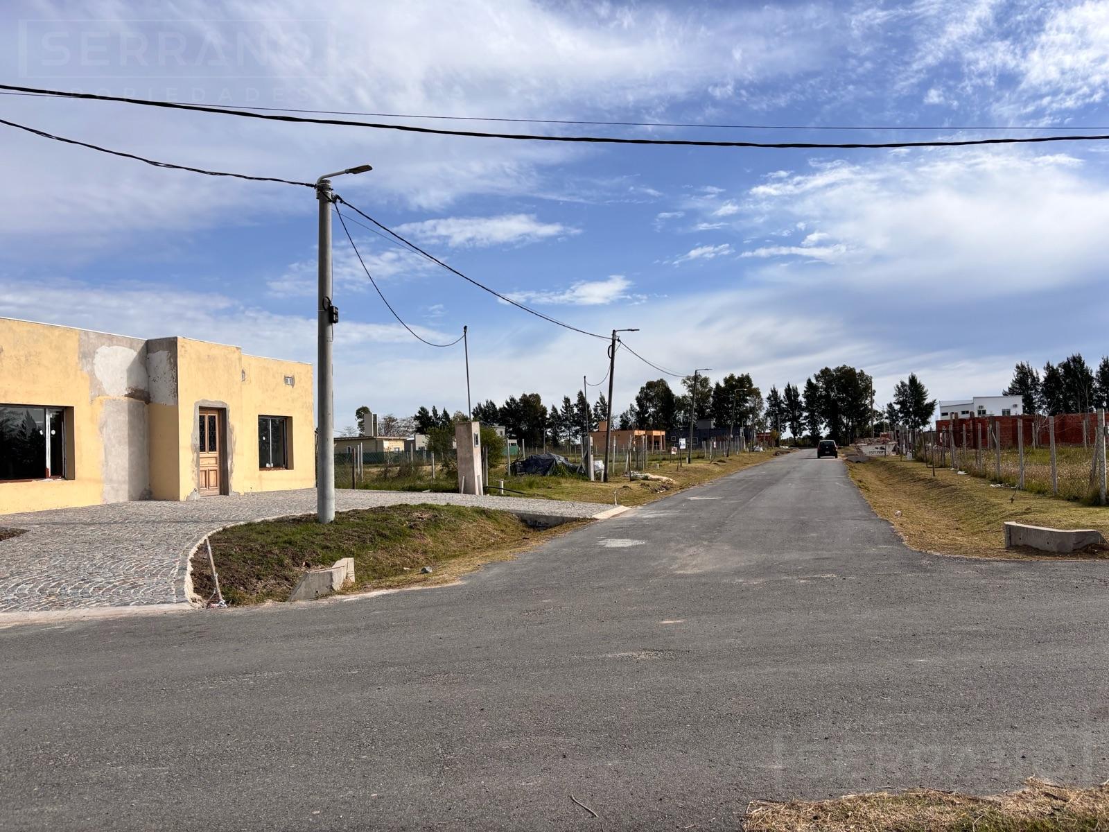 image 25