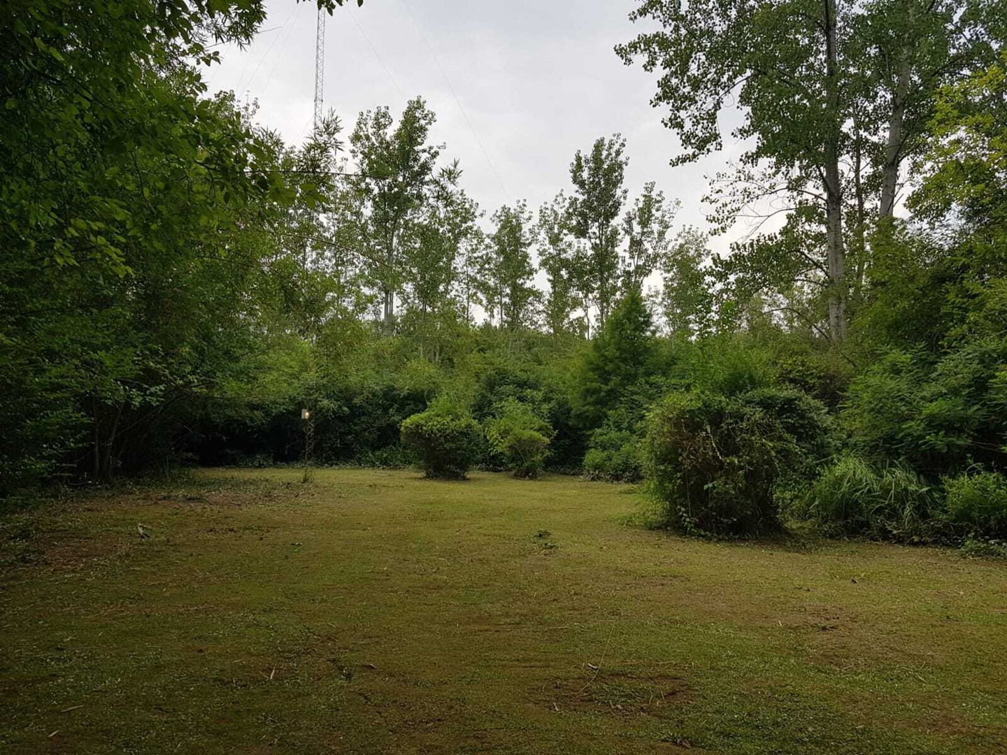 image 41