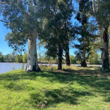 Venta lote en Lago de Manzanares