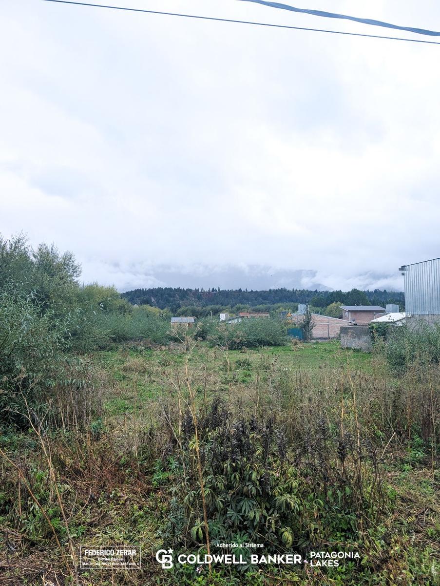 image 15