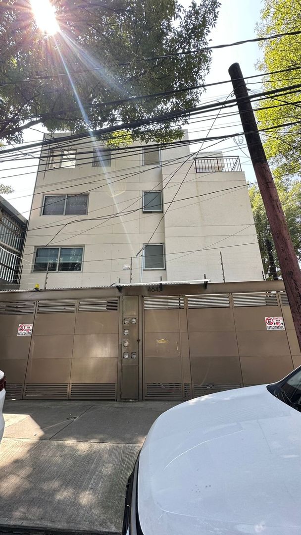 pulppo_acm