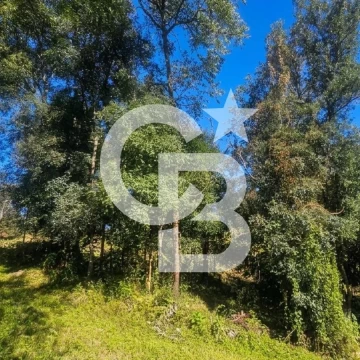 TERRENO EN VENTA HORCO MOLLE - LOS PERALES