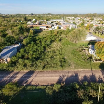 Terreno Venta en Sarjanovich 600