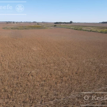 330 Has Agrícolas en Bolívar