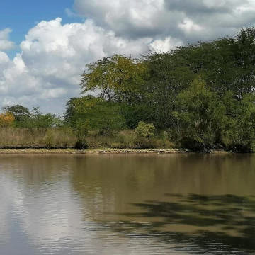 Venta Terreno Lago de Manzanares 
