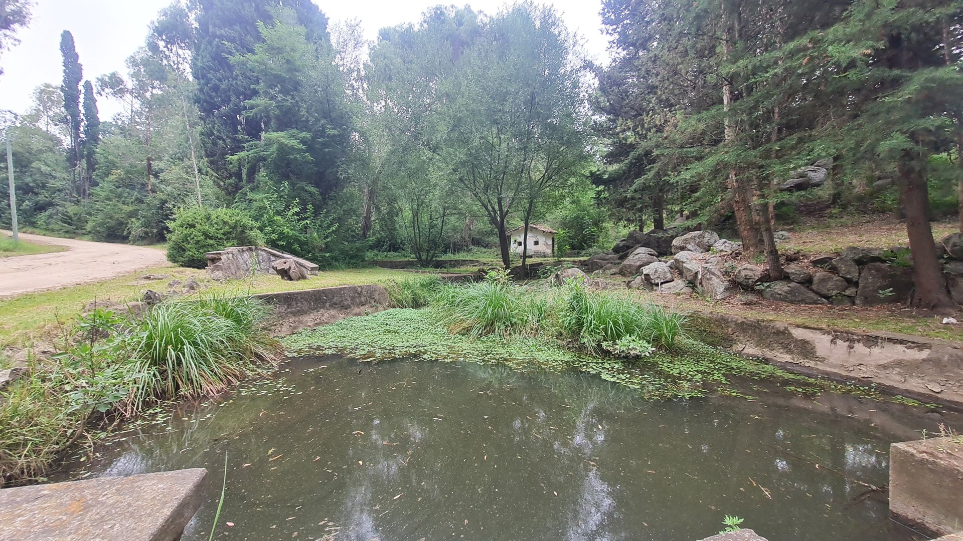 image 15
