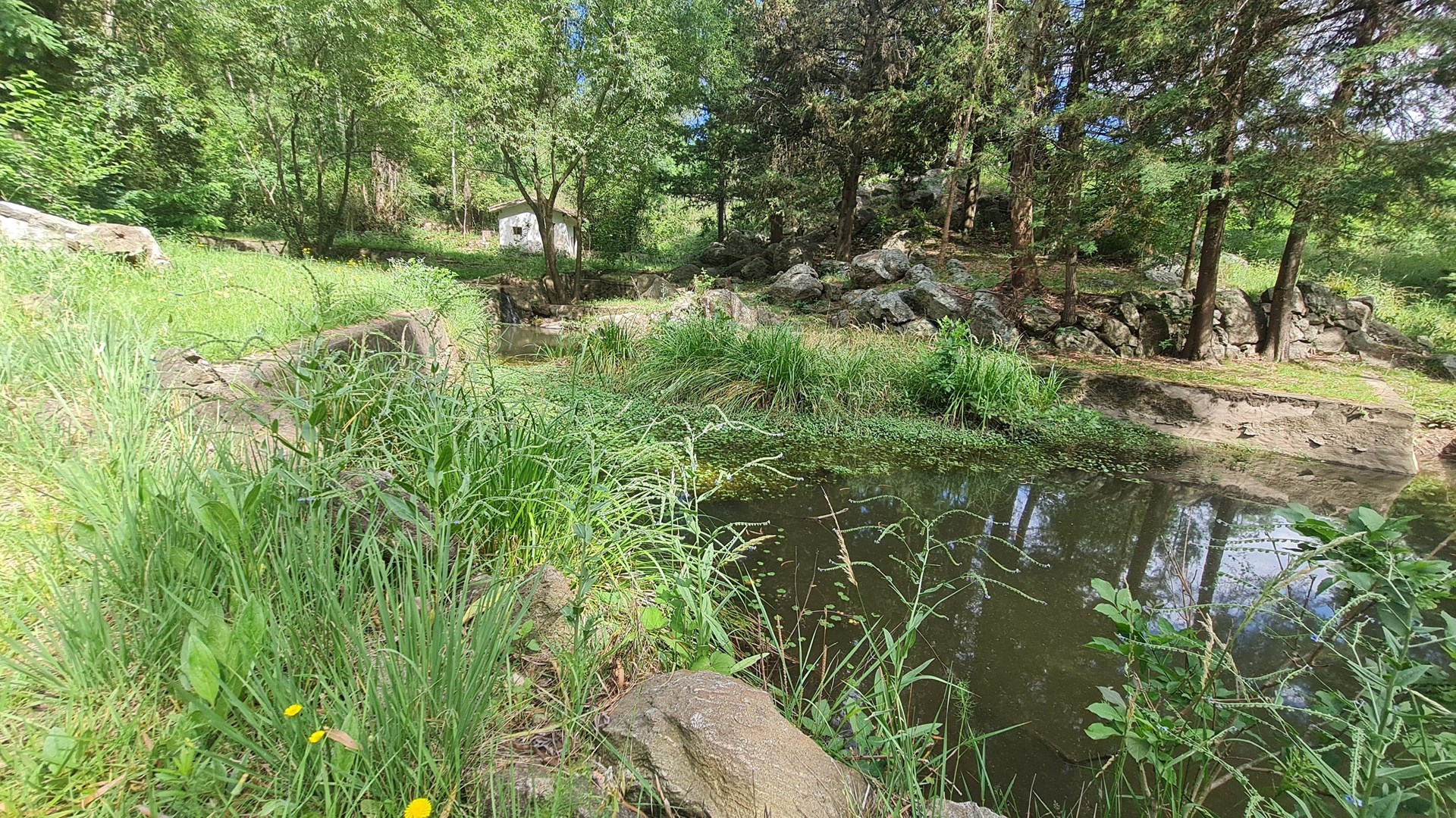 image 18