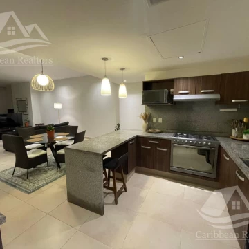 Departamento en Renta en Malecon Americas