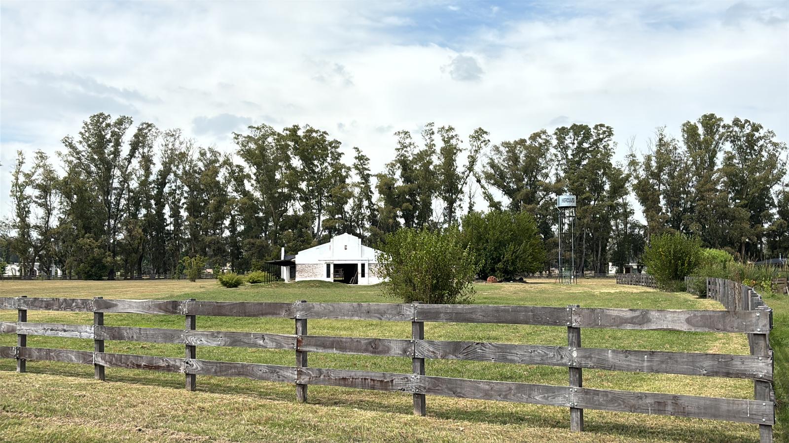 image 16