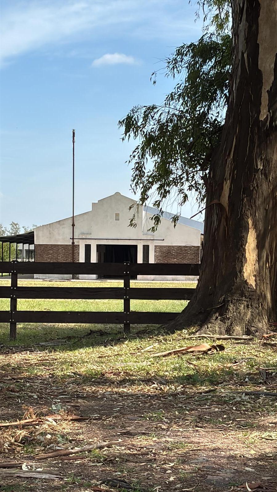 image 14