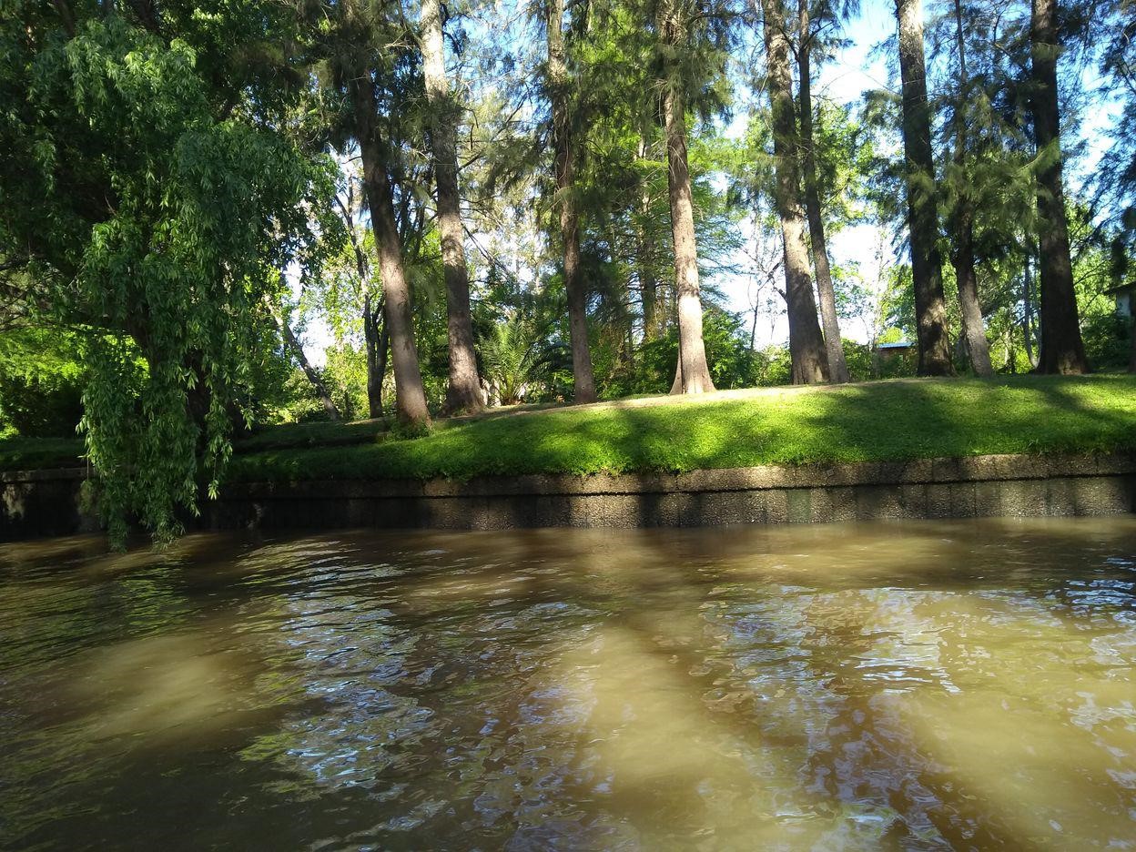 image 14