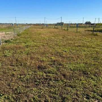 Venta de Lote interno en La Reserva del Oeste, Ruta 6, General Rodriguez