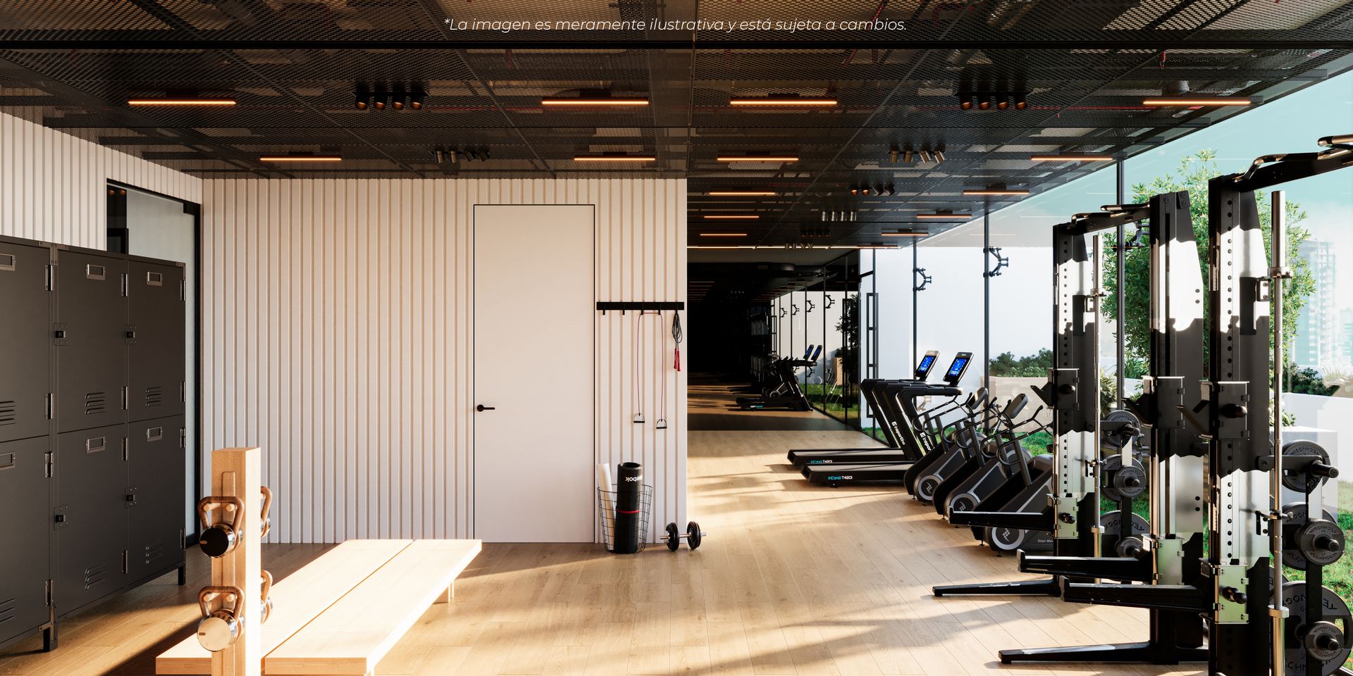 LN91_060125_Gimnasio_01LOND.jpg