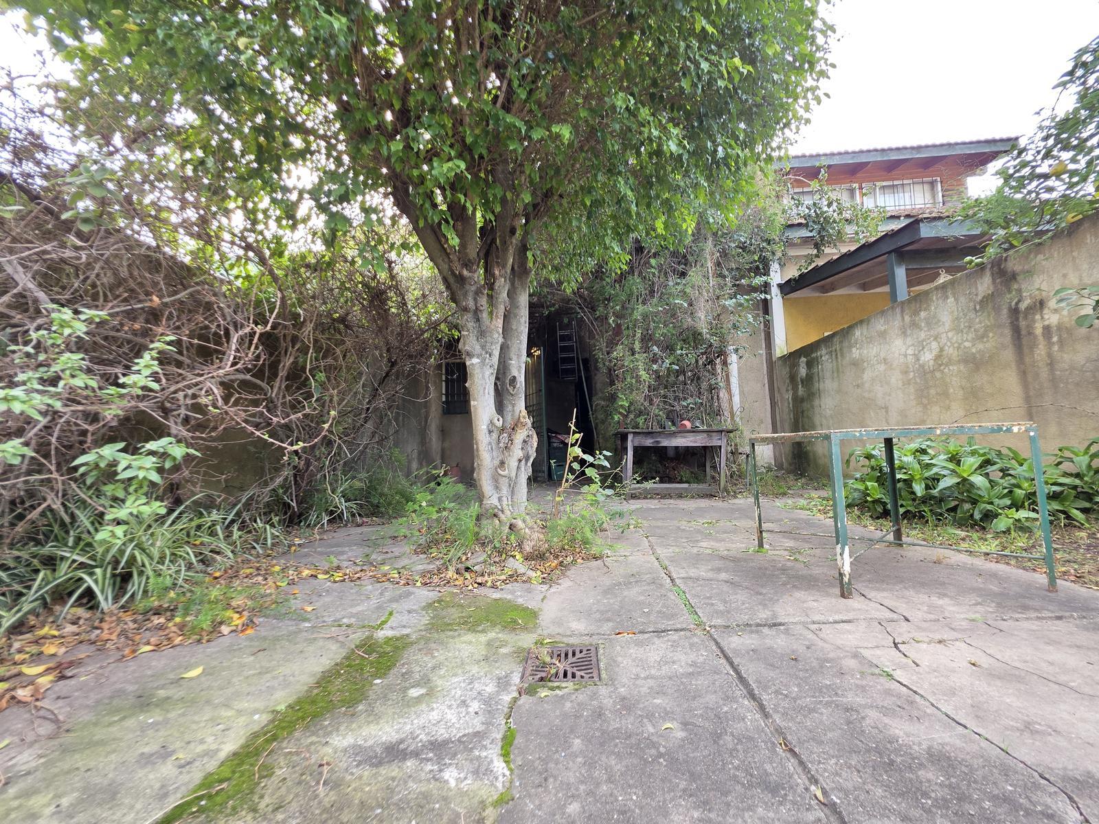 image 18