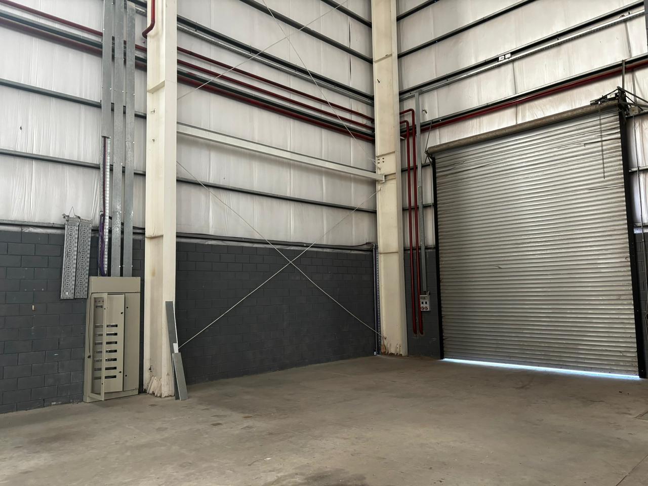 image 19