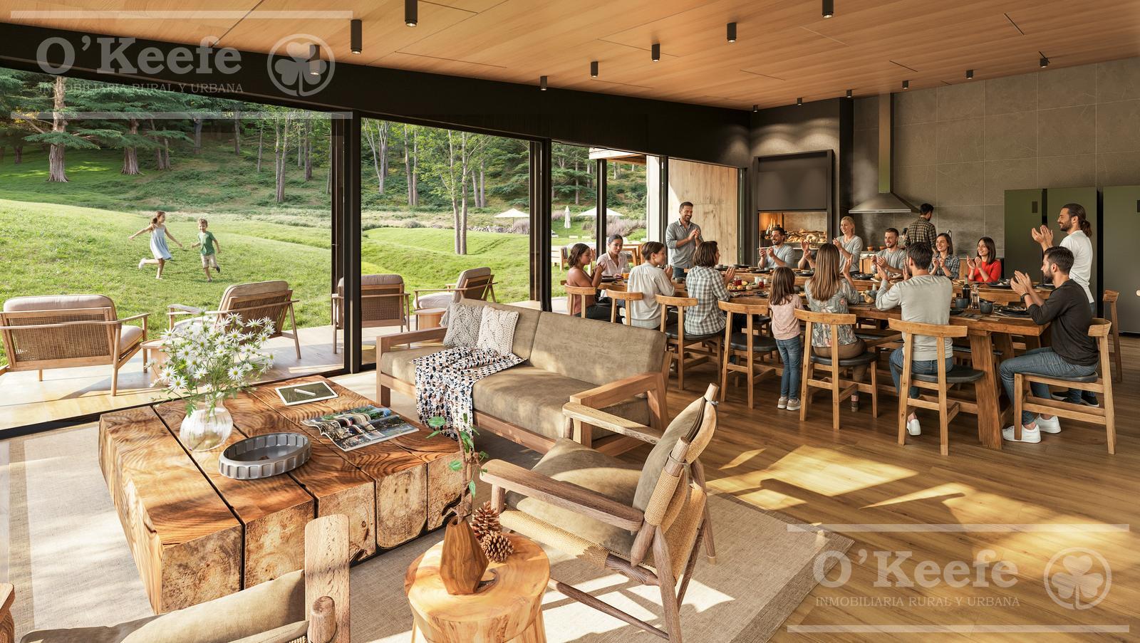 image 32