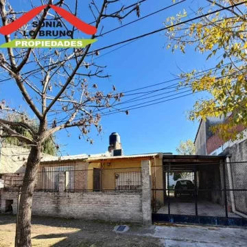 Pio  Xll 2300