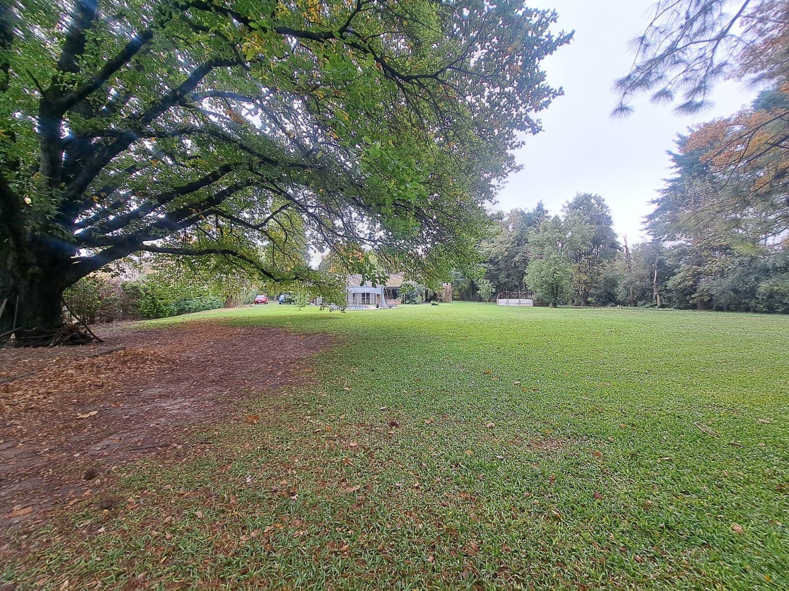image 36