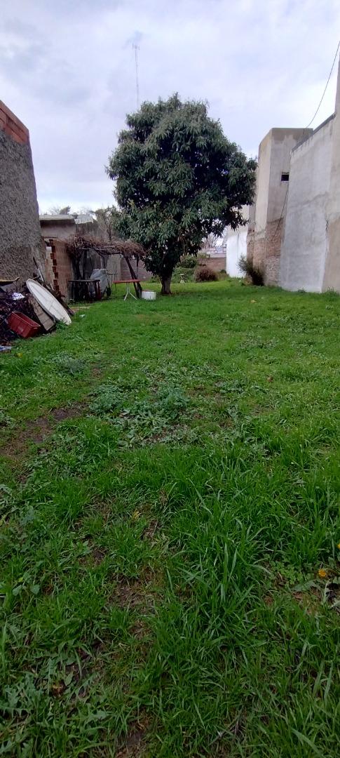 image 14