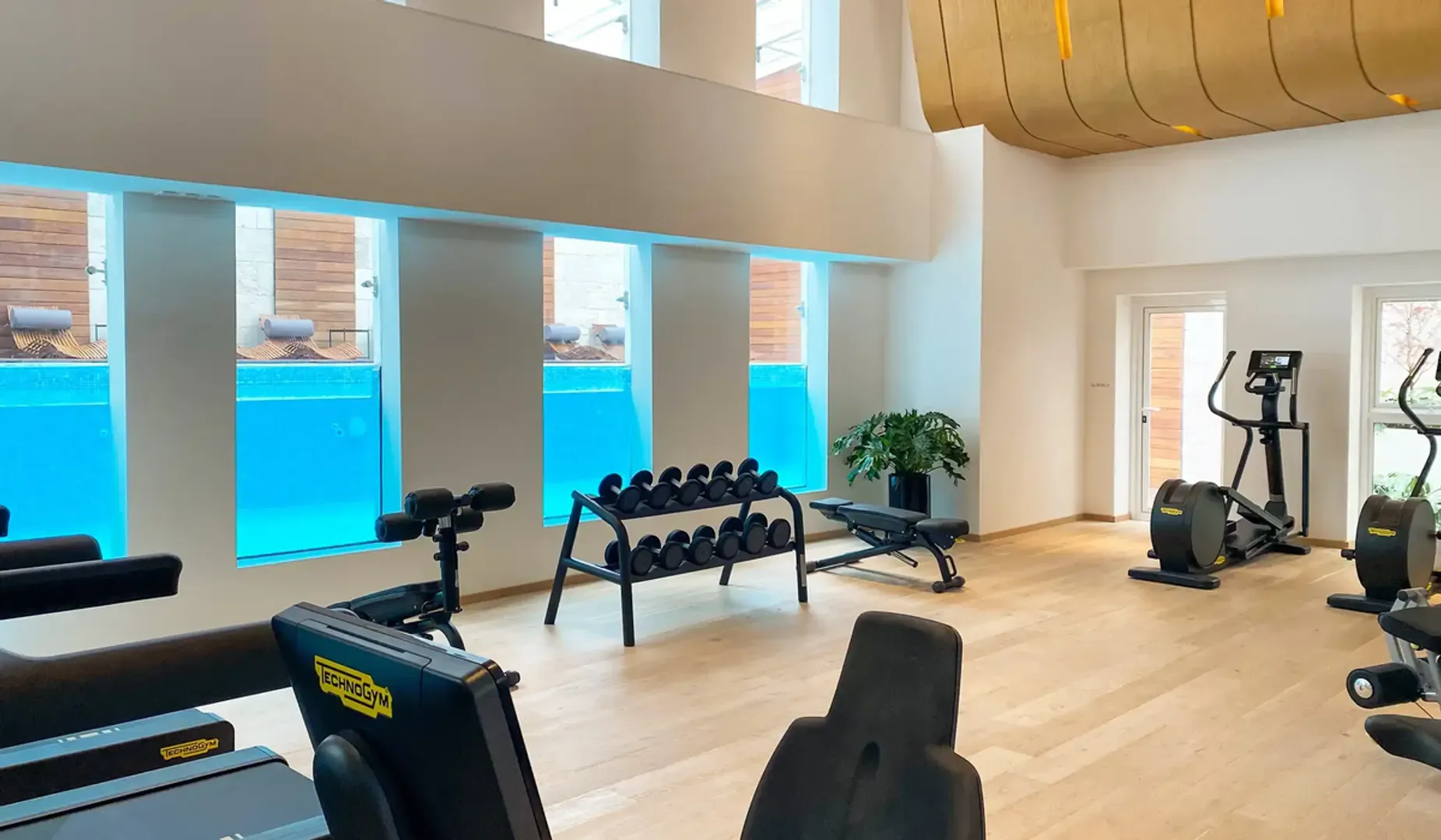 gimnasio (4).webp