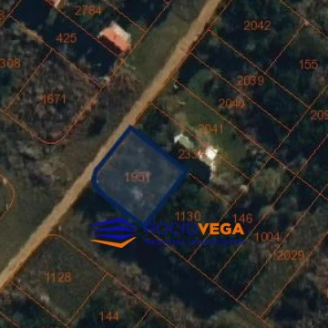 1779477858.jpg