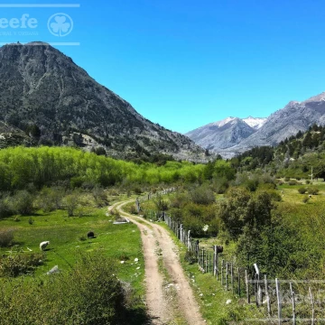 Campos y chacras en  venta en la Patagonia Argentina