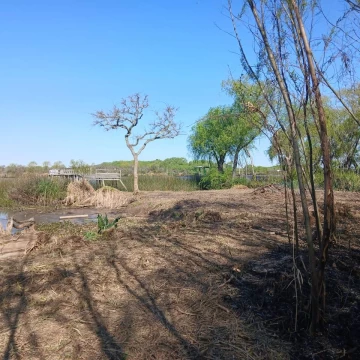 Venta | Terreno en Zona Delta | Tigre | Isla | Lote | Financiación