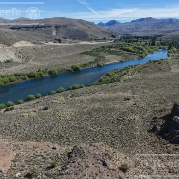 Chacra en venta de 51.55 Has sobre Río Limay  Patagonia Argentina